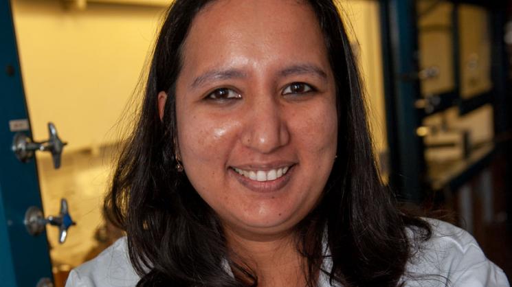 Sibani Lisa Biswal