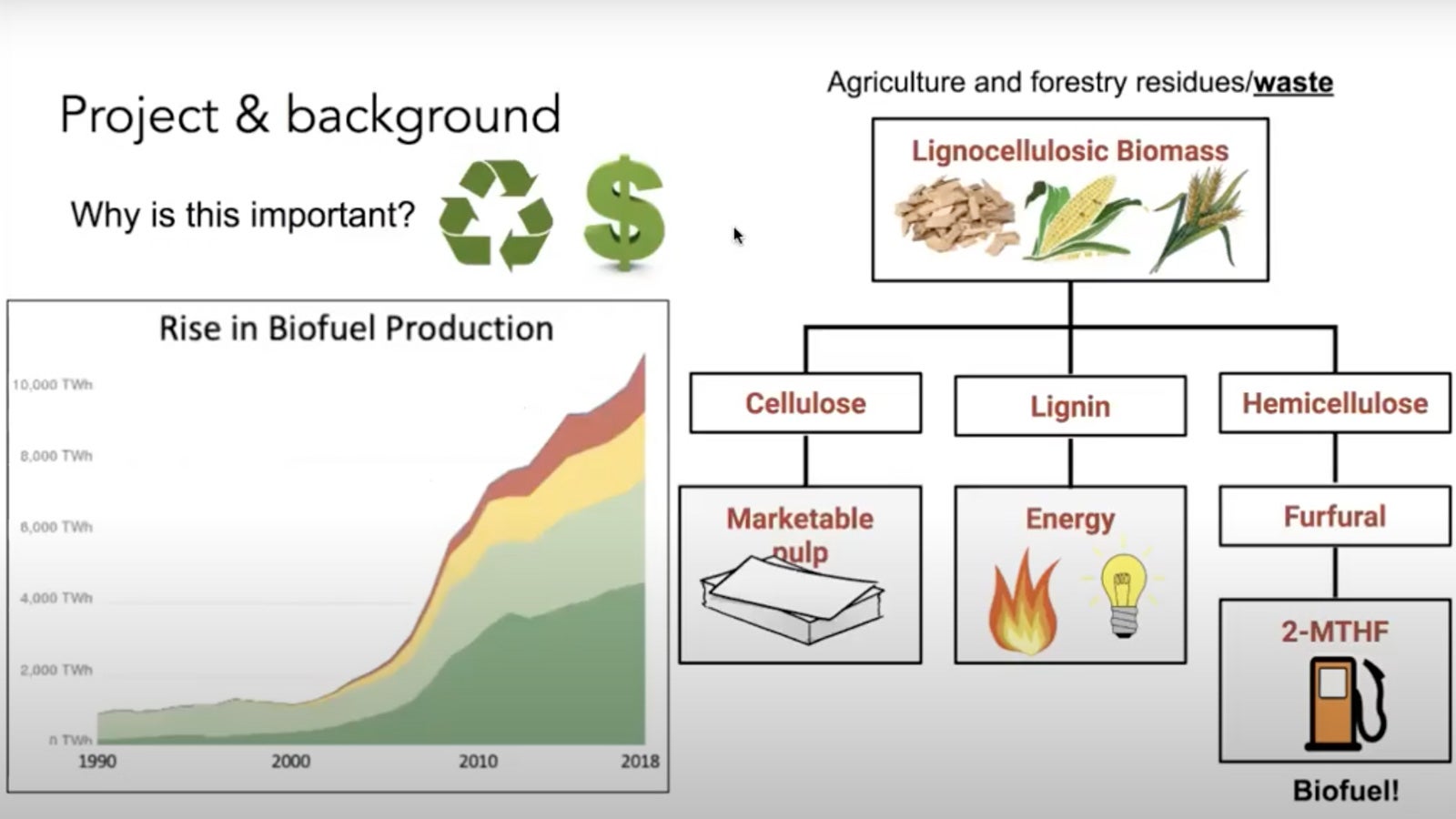 Slide from Plant-Based Plant presentation