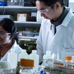 From left, Rice University graduate student Quan Anh Nguyen, postdoctoral fellow Anulekha Haridas and graduate student Botao Farren Song construct full-cell batteries with high-capacity silicon anodes and high-voltage nickel manganese cobalt oxide cathodes coated with protective alumina.