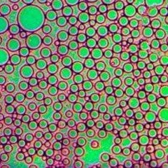 95th ACS Colloid and Surface Science Symposium