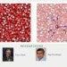 Study reveals flaw in long-accepted approximation used in water simulations